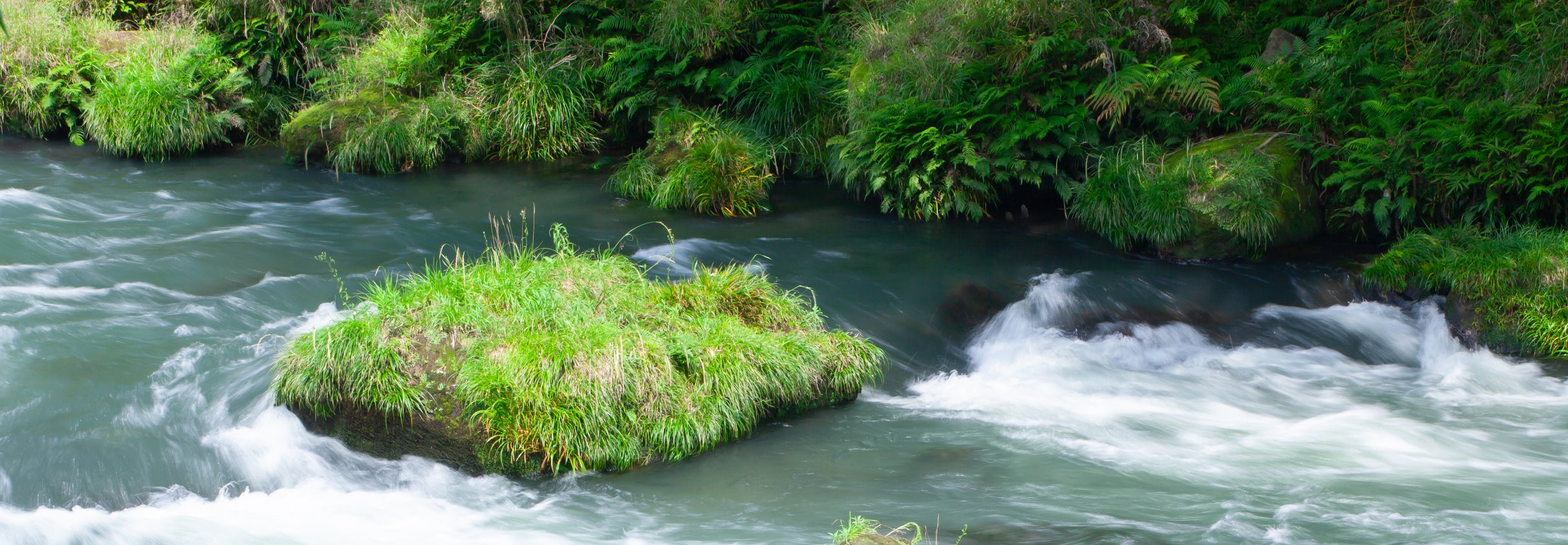 ゼロ磁場発生装置のT.T.C公式ショップ