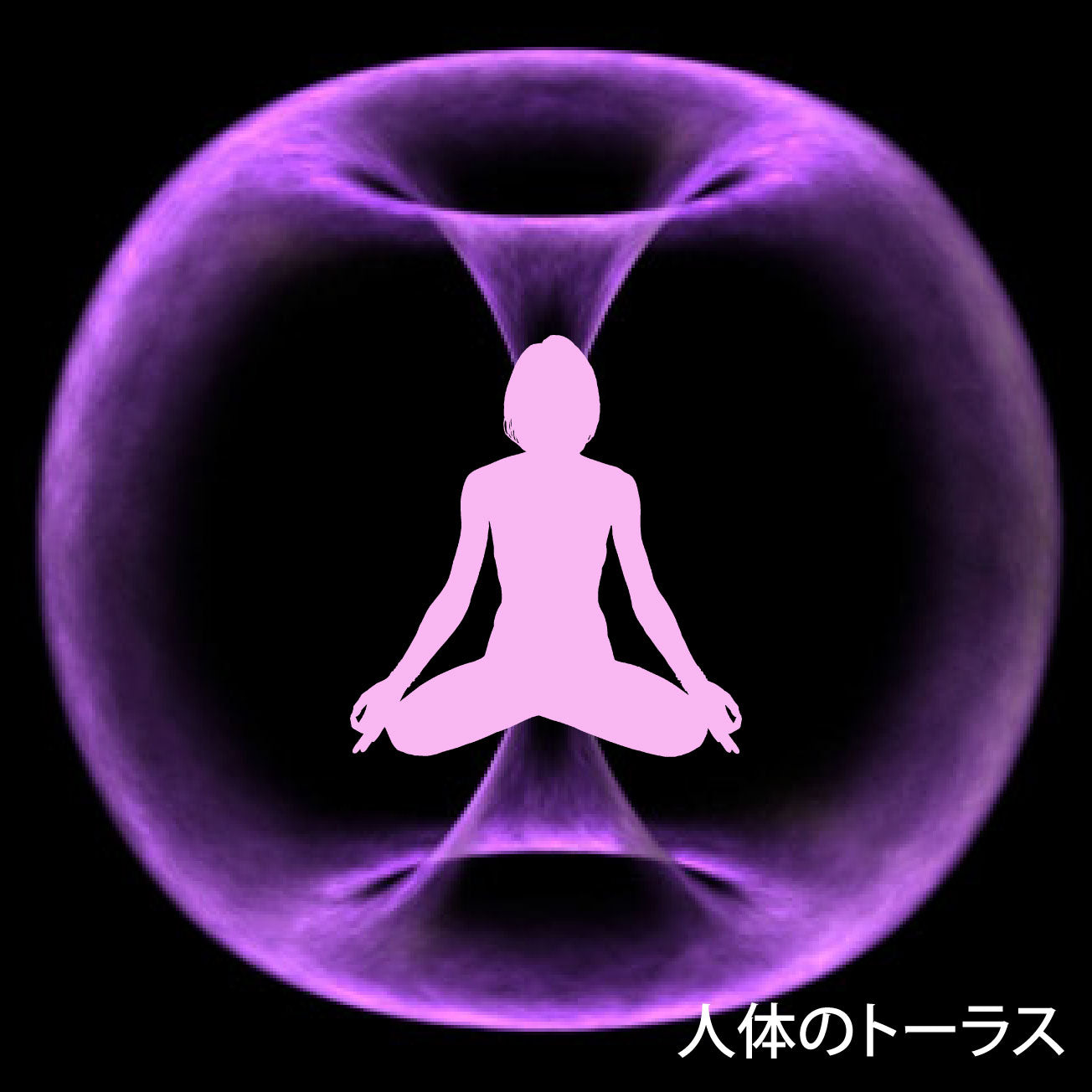 テラファイトコスモ【製造元】（ゼロ磁場発生装置）