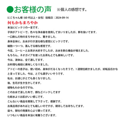 ハンディネオガイア【製造元】（ゼロ磁場発生装置）