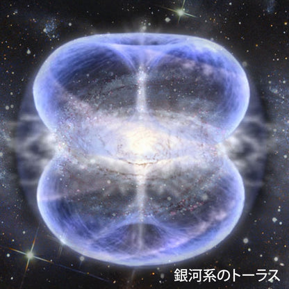 テラファイトコスモ【製造元】（ゼロ磁場発生装置）